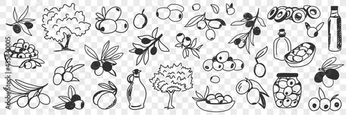 Olive oil production doodle set. Collection of hand drawn various olive trees fruits oil bottles and jars for eating and cooking in rows isolated on transparent background 