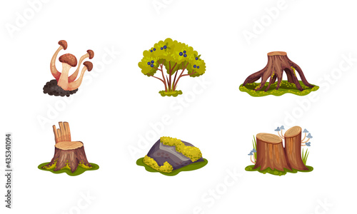 Forest Elements with Mossy Stump, Mushrooms and Trees Vector Set