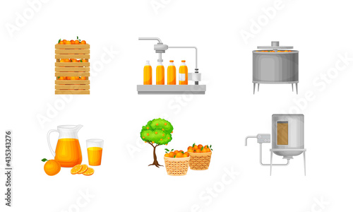 Orange Juice Production with Harvesting, Cleaning and Extraction Stages Vector Illustration Set