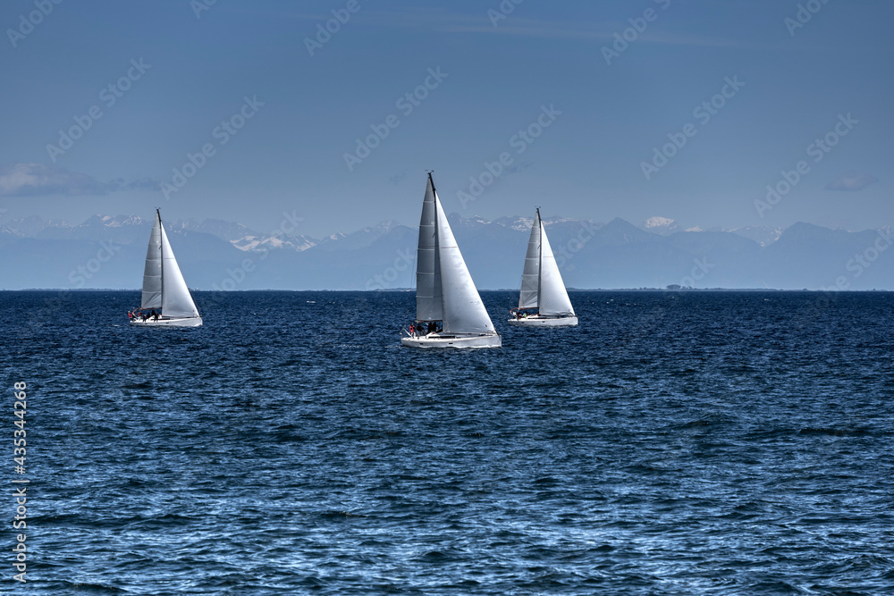 White sailing boats