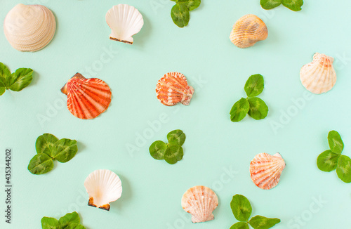 Fototapeta Naklejka Na Ścianę i Meble -  Summer background. Seashells and green leaves of clover on a minimal blue background. Place for your text.