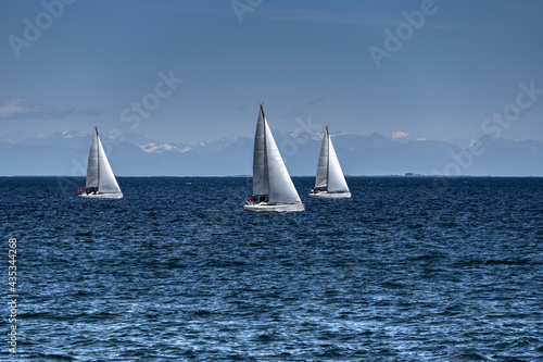 White sailing boats