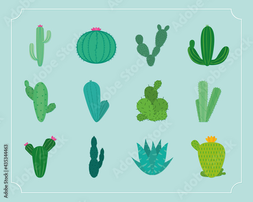 cactus plants set