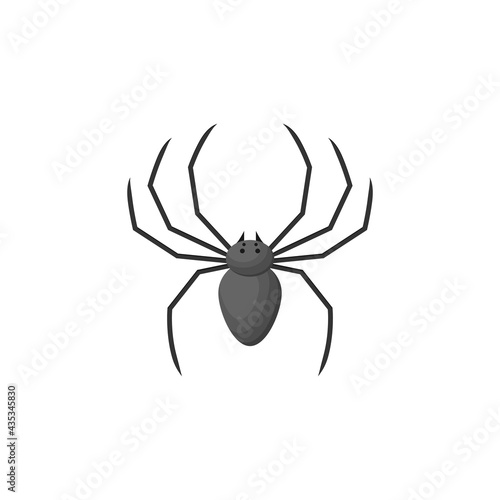 Vector flat style illustration of spider © mix3r