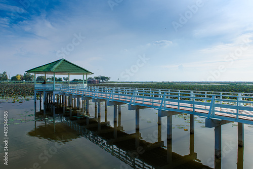 wooden pier in the sea