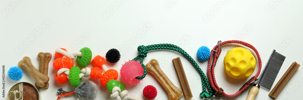 Fototapeta premium Pet accessories on white background, space for text