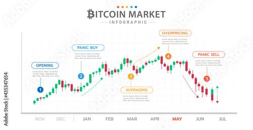 Infographic template for business. Bitcoin Timeline diagram with market phases, cryptocurrency presentation infographic.