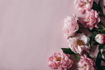 Moody decorative floral corner, banner made of peonies flowers, petals isolated on pink table background. Empty copy space. Flat lay, top view. Picture for blog. Summer wedding or birthday concept.