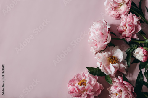 Fototapeta Naklejka Na Ścianę i Meble -  Moody decorative floral corner, banner made of peonies flowers, petals isolated on pink table background. Empty copy space. Flat lay, top view. Picture for blog. Summer wedding or birthday concept.