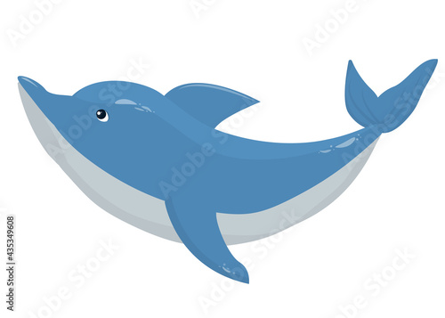 vector illustration of a dolphin isolated on a white background