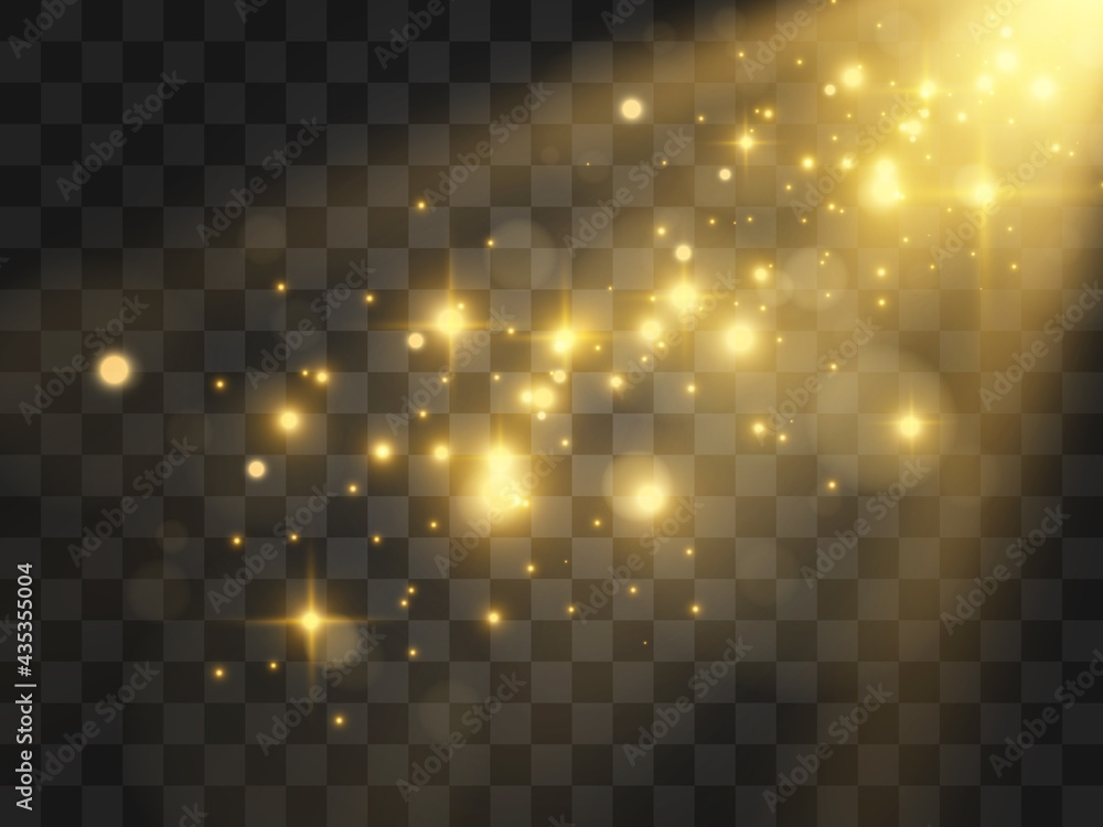 Bright beautiful star.Vector illustration of a light effect on a transparent background. Bright beautiful star.Vector illustration of a light effect on a transparent background.