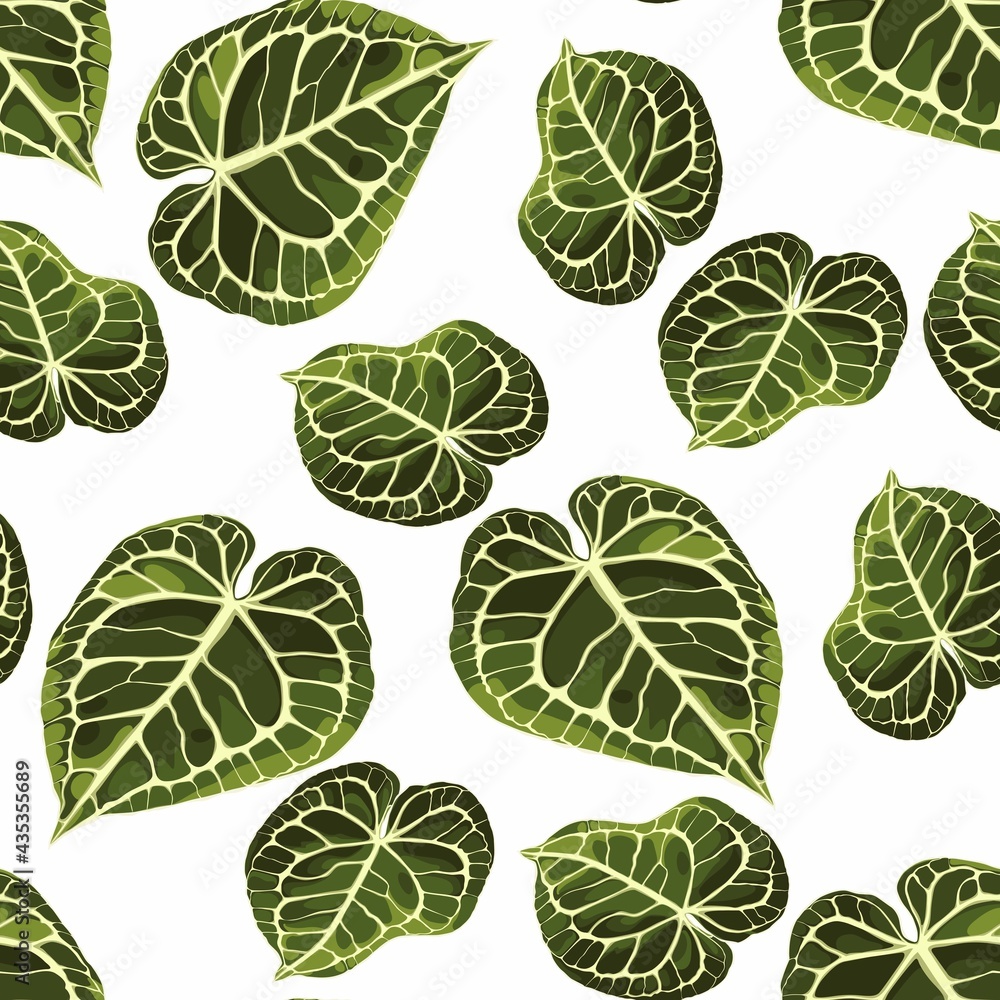 Floral seamless pattern, Alocasia plant leaves on white background. Floral seamless pattern, Alocasia plant leaves on white background.