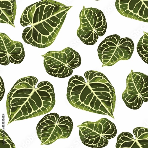 Floral seamless pattern  Alocasia plant leaves on white background.