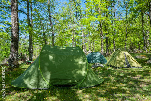 Camping in the forest. Set up a tent in the forest.