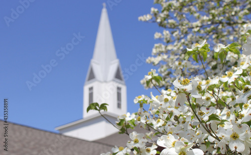 Photo Dogwood tree in bloom with Church Steeple