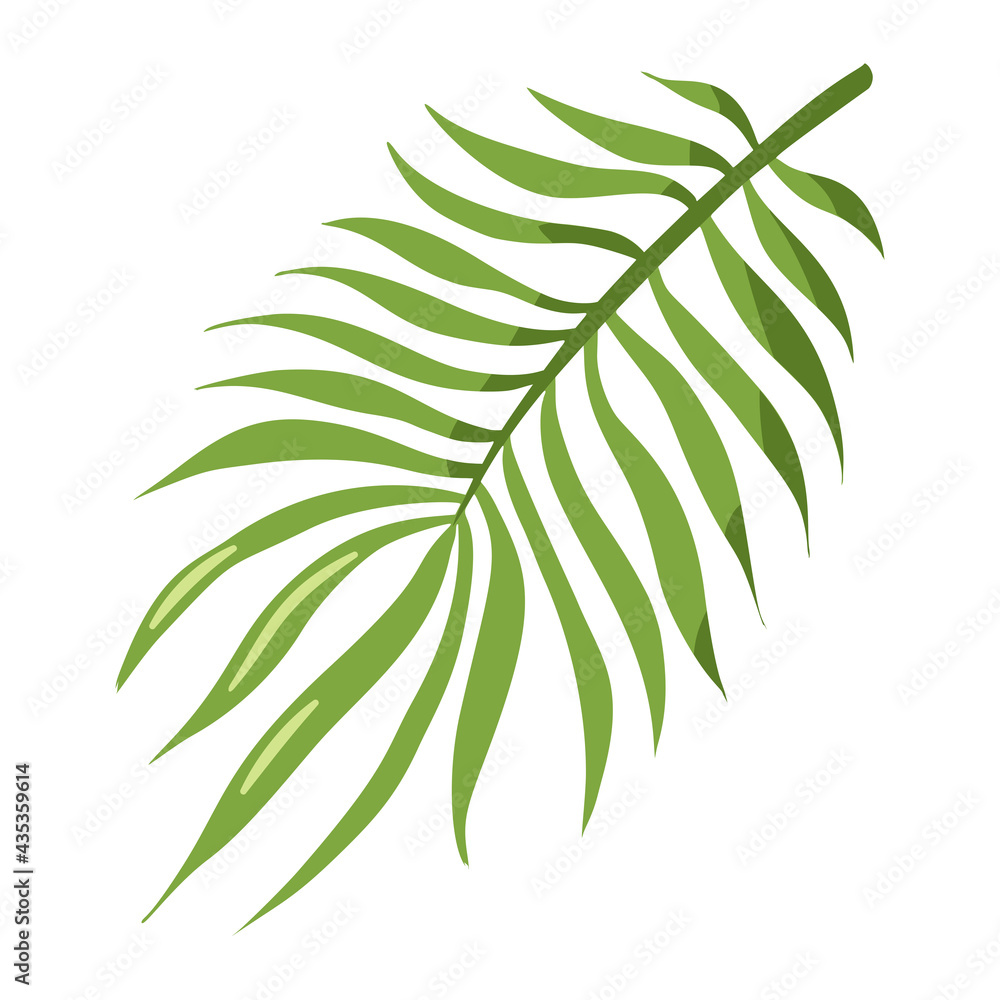 Flat Style Tropical Organic Palm Leaf. Exotic leaf icon. Floral vector template for logo, cosmetics, spa, beauty care products, stickers, prints