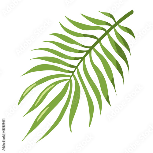 Flat Style Tropical Organic Palm Leaf. Exotic leaf icon. Floral vector template for logo, cosmetics, spa, beauty care products, stickers, prints