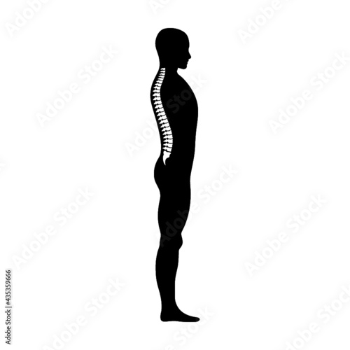 Human spine icon isolated on white background