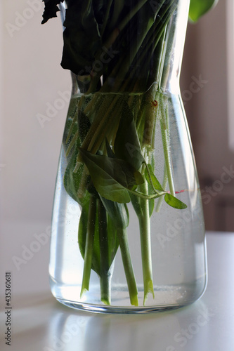 
flower stalks in water in a transparent vase