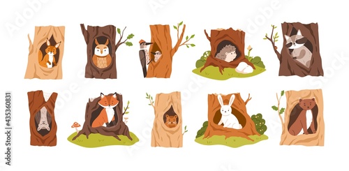 Set of animals and birds inside hollows. Squirrel, owl, woodpecker, hedgehog, raccoon, bat, fox, beaver, hare, and weasel in tree hole houses. Flat vector illustration isolated on white background