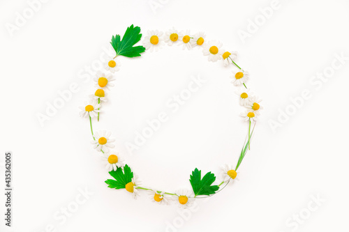 Round frame from white flowers of daisies on a white background. Composition from summer wildflowers. Wreath of various flowers, leaves on a white background. Spring, summer, Easter concept.copy space