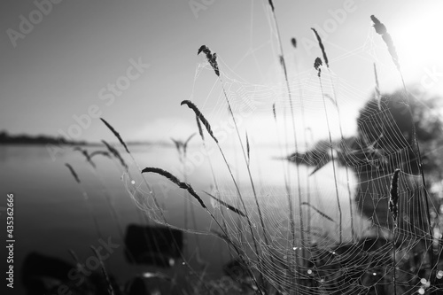 Fog in the lake. Morning nature water white fog.