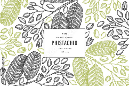 Hand drawn phistachio branch and kernels design template. Organic food vector illustration on white background. Retro nut illustration. Engraved style botanical banner.