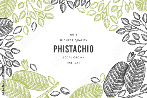 Hand drawn phistachio branch and kernels design template. Organic food vector illustration on white background. Retro nut illustration. Engraved style botanical banner.
