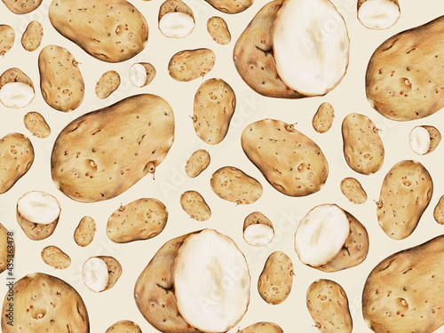 Obraz na plátne Hand drawn potato patterned background illustration