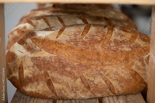 Pane toscano appena sfornato.