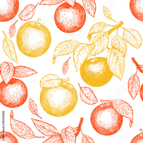 Apple branch seamless pattern. Hand drawn vector garden fruit illustration. Engraved style fruit retro botanical banner.