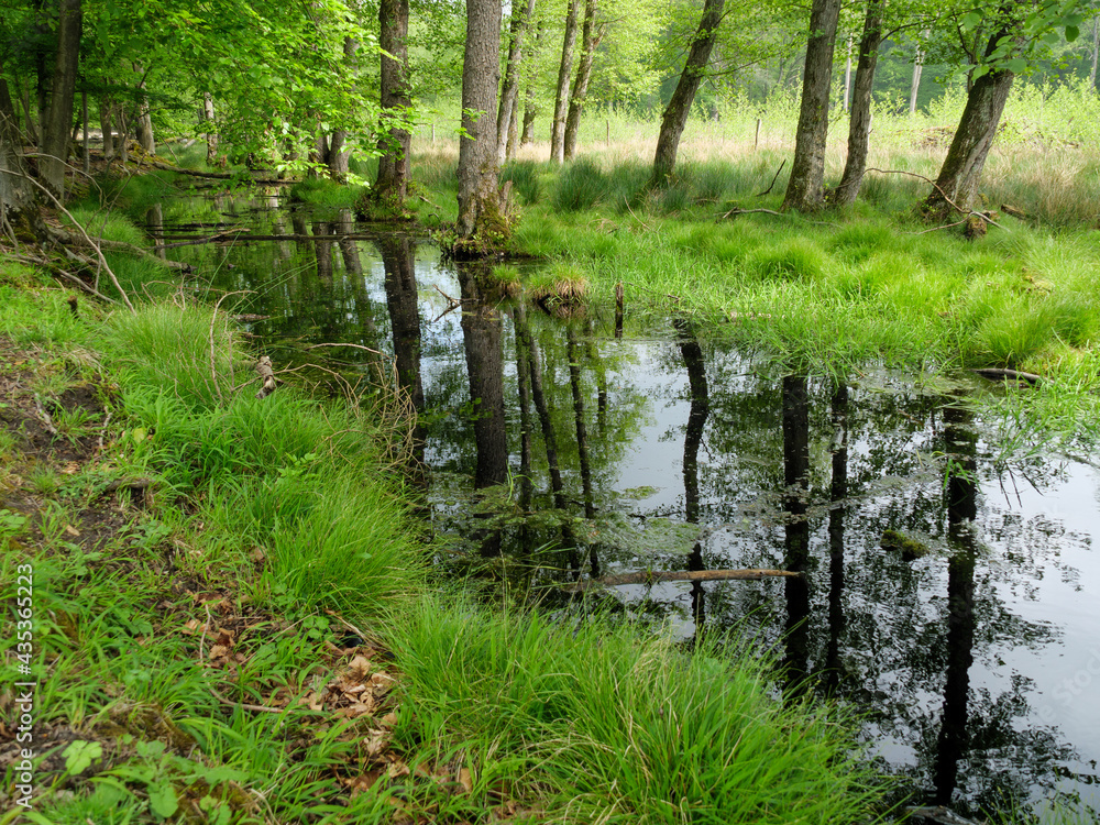 Wildpark und Natur im westlichen Münsterland Wildpark und Natur im westlichen Münsterland