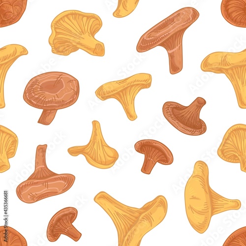 Seamless fungi pattern with chanterelles and red pine mushrooms on white background. Endless repeatable texture with organic vegetarian food. Colored hand-drawn vector illustration for printing