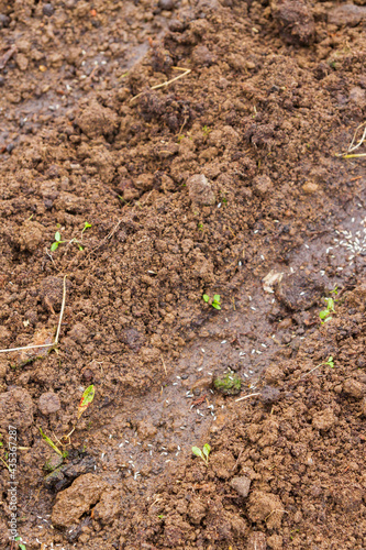 Land in the greenhouse for planting seeds in the spring