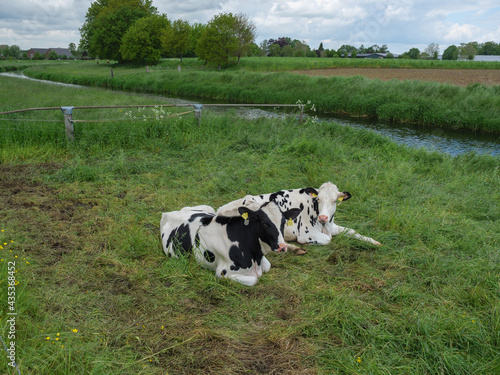 Das Dorf Loikum an der Issel  photo