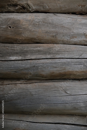 Wooden board texture of the wooden background. vertical round old logs