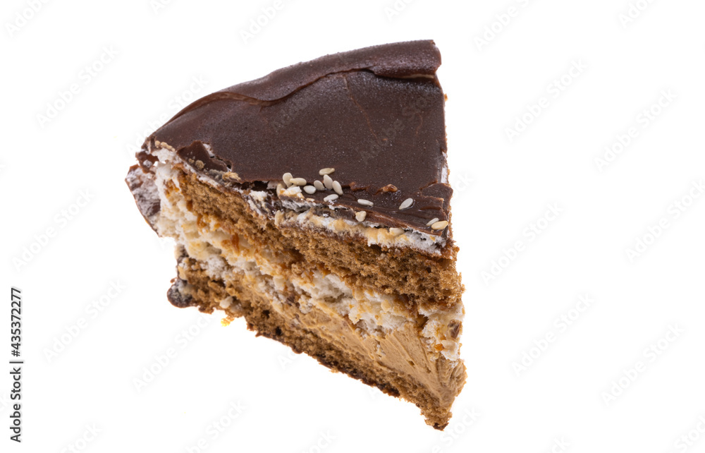 chocolate cake isolated chocolate cake isolated