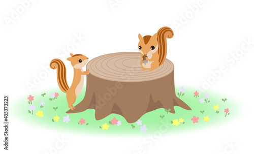 花が咲いている森の切り株の上でどんぐりを食べるリスとそれを見ているリスのイラスト