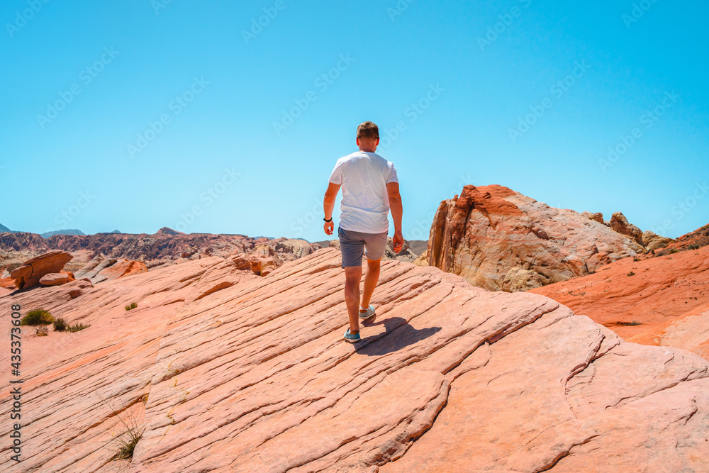 A young man enjoys a beautiful desert landscape in the Valley of Fire National Park, Nevada