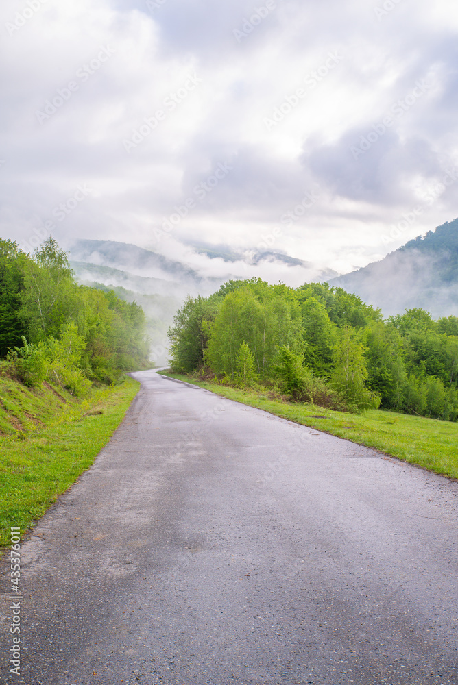 Fototapeta premium the road leads to the mountains which are covered with fog.