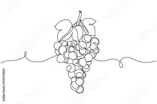 Continuous one line of bunches of grapes in silhouette. Linear stylized.Minimalist