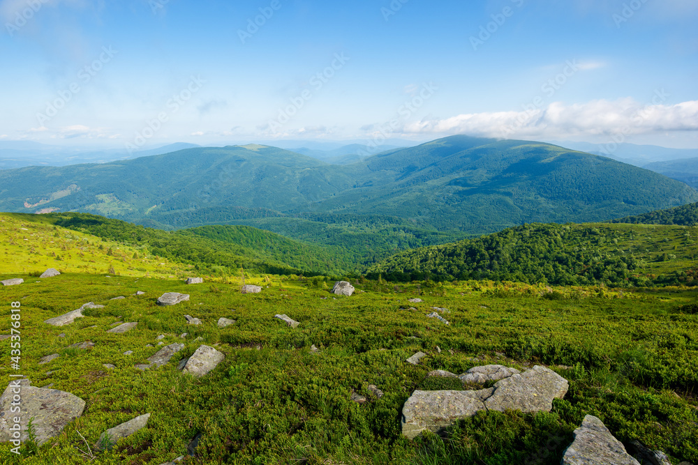summer mountain landscape. stones on the hillside meadow. beautiful view in to the distant valley on a bright summer day. wonderful nature of carpathian mountains, ukraine
