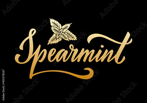 Vector illustration of spearmint lettering for packages, product design, banner, spice shop  price lists. Handwritten word with leaves for web or print
