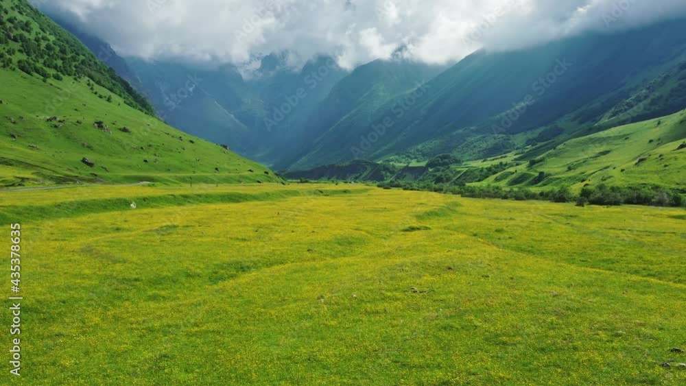 View of wildflower meadow and Caucasus mountains, 4k View of wildflower meadow and Caucasus mountains, 4k