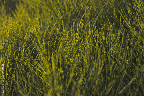 close up of a texture