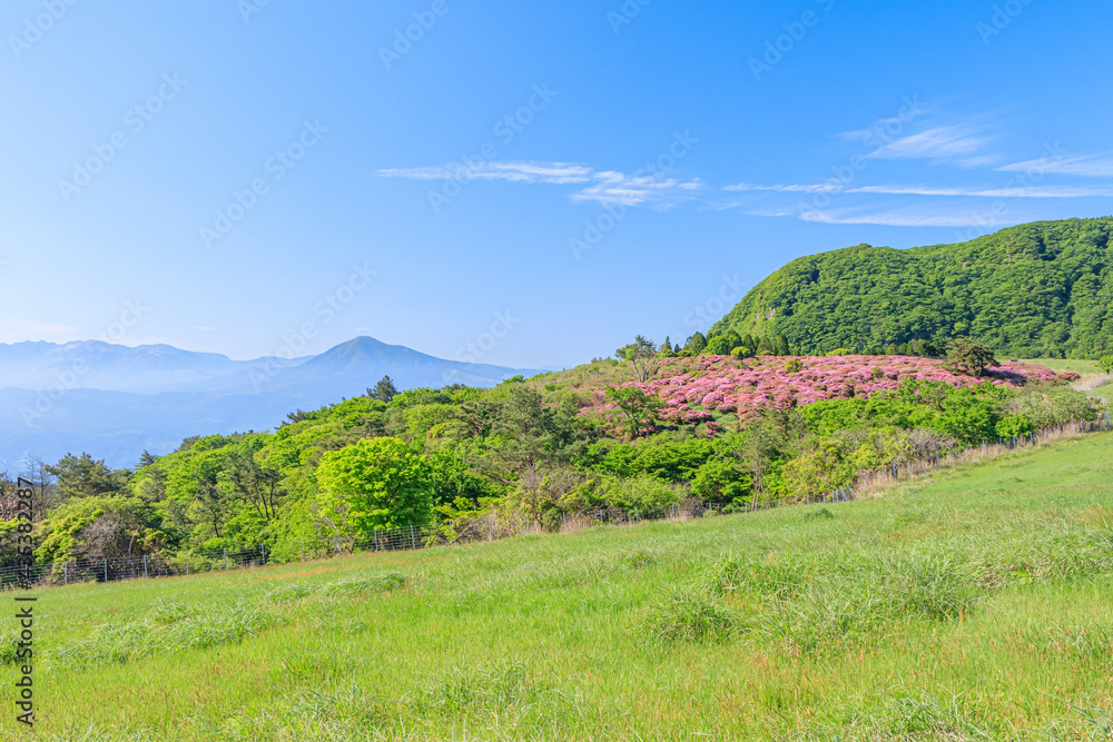 ミヤマキリシマと万年山　大分県　MiyamaKirishima and Mt.Haneyama Ooita-ken