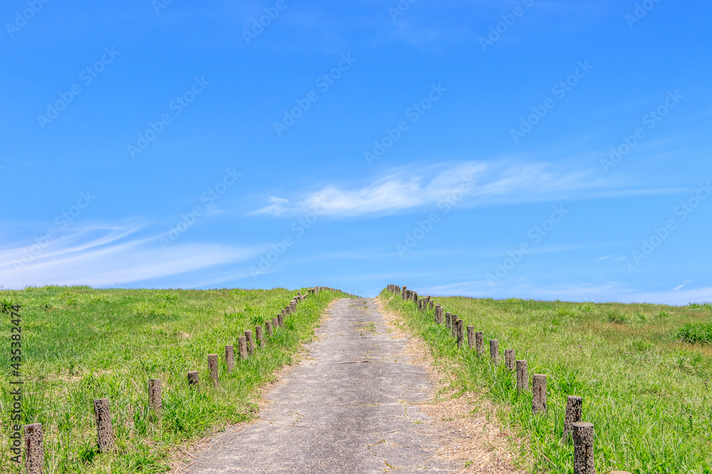 Obraz premium 万年山へと続く登山道（牧場） 大分県 Mountain trail leading to Mt. Haneyama Ooita-ken