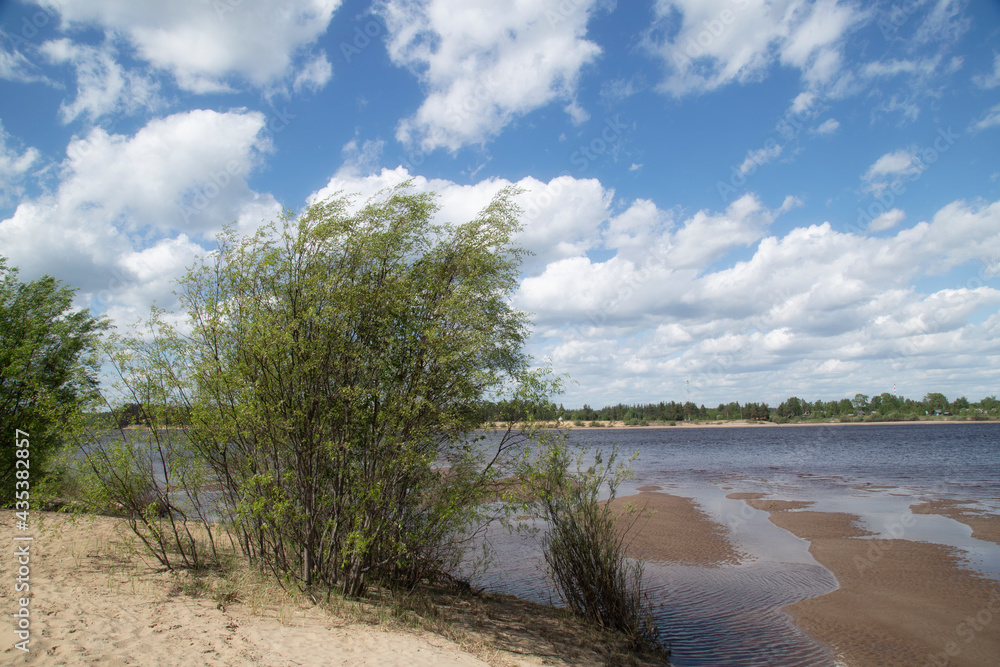 Landscape on the river in summer with a bare sky and clouds.