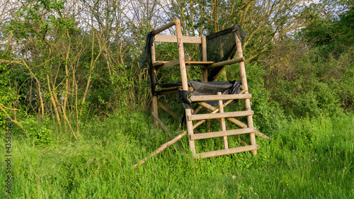 Lookout wooden ladder seat, also known as hunter's seat, hunter's high seat between the trees in nature for observing wild animals, animal world covered with camouflage hunting camouflage net