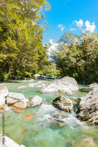 Forest stream of cool fresh water flowing over rocky riverbed and through scenic forest